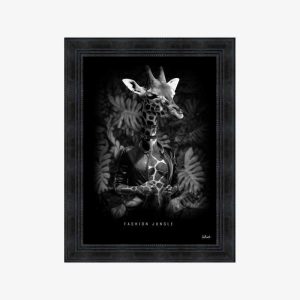 Jungle - BINET