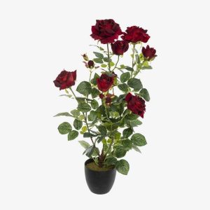 Rosier artificiel - VELOURS