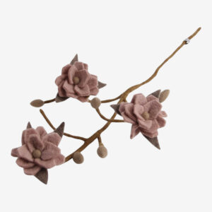 Branche - MAGNOLIA