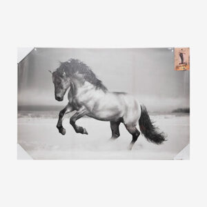 Tableau cheval - ANIMALYS