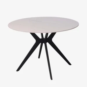 Table ronde - RHEA