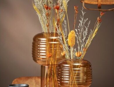 PLANTES-DINTERIEUR